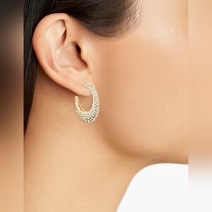 Long Hoop Earrings Gold w/sparkling CZ stoned NWT